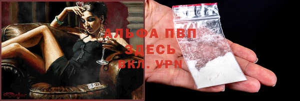 apvp Тосно