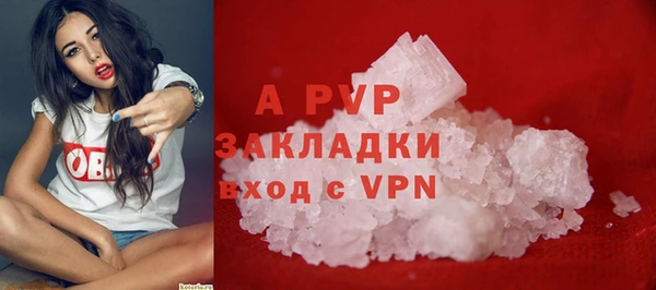 молекула духа Волоколамск