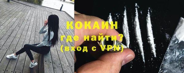 молекула духа Волоколамск