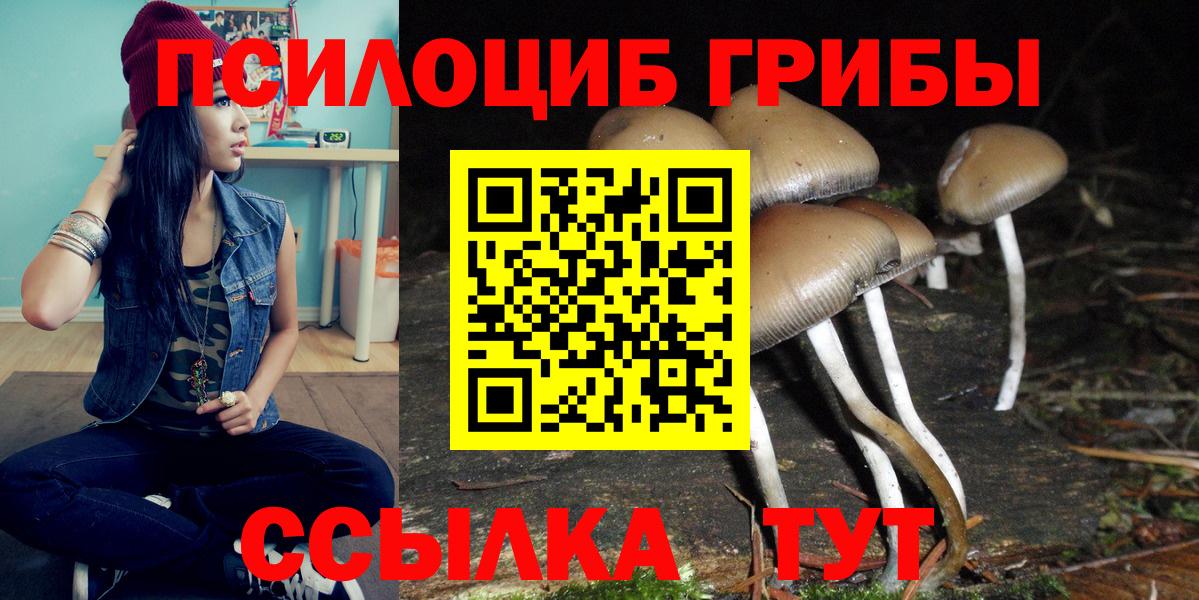 Геленджик  Галлюциногенные грибы ЛСД  Вход с VPN 