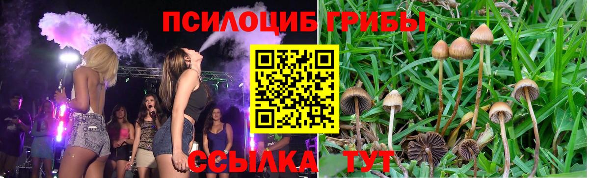 Галлюциногенные грибы MAGIC MUSHROOMS Геленджик